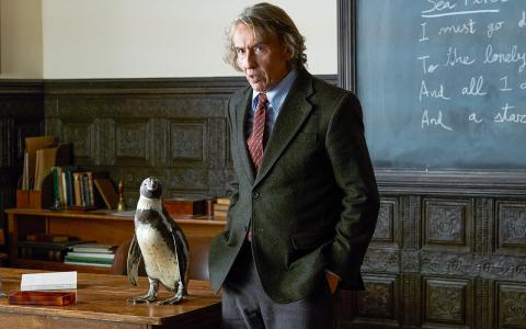 Pinguin